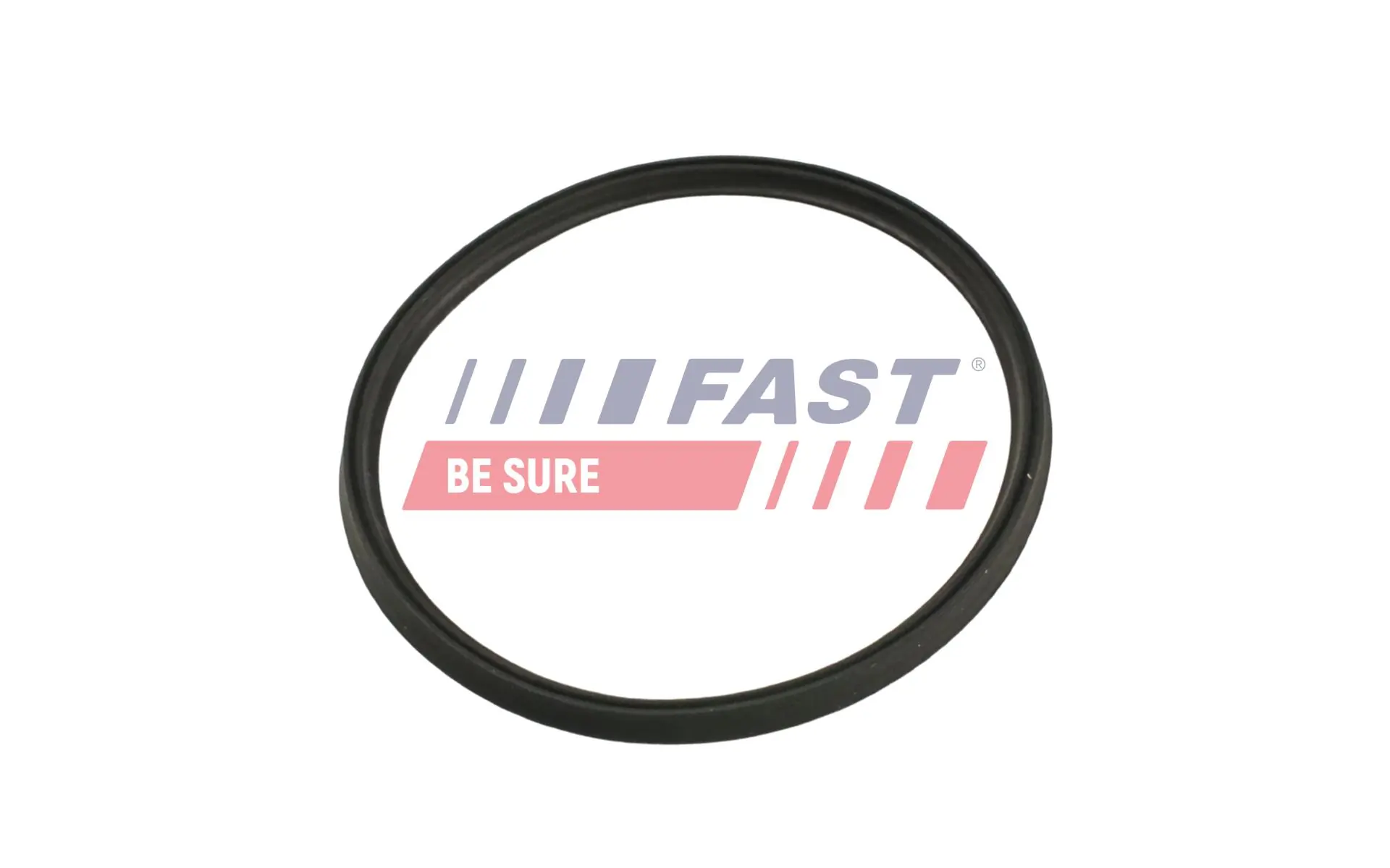 Seal Ring, charge air hose FT48965