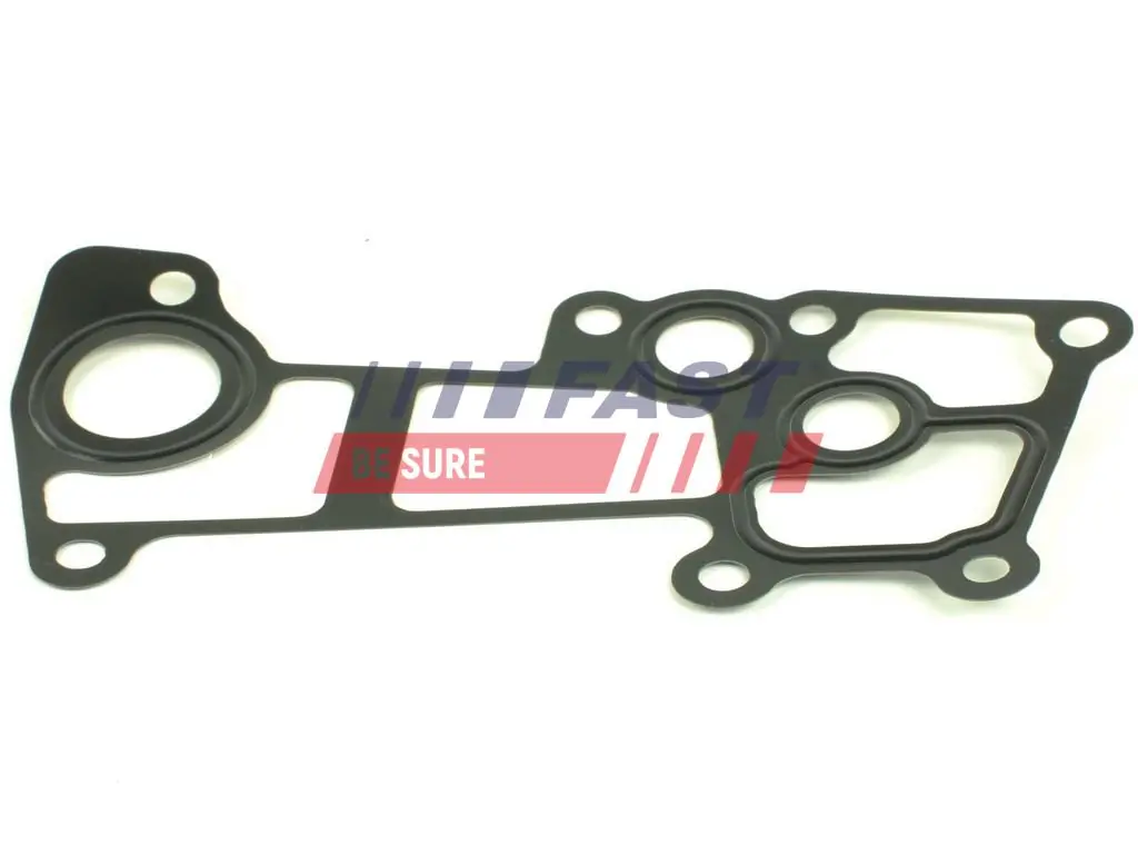 Gasket, coolant pipe FT49920