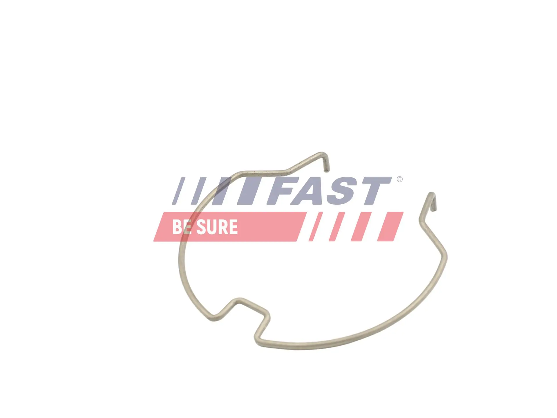 Fastening Clamp, charge air hose FT96401