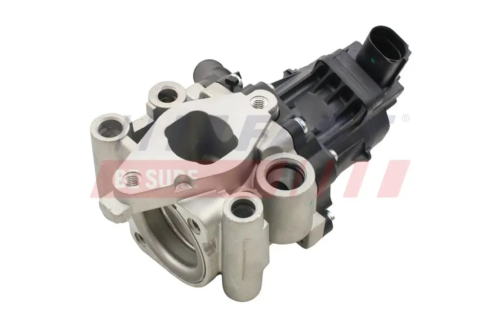 EGR Valve FT60202