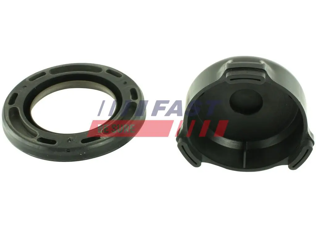 Shaft Seal, differential FT49801