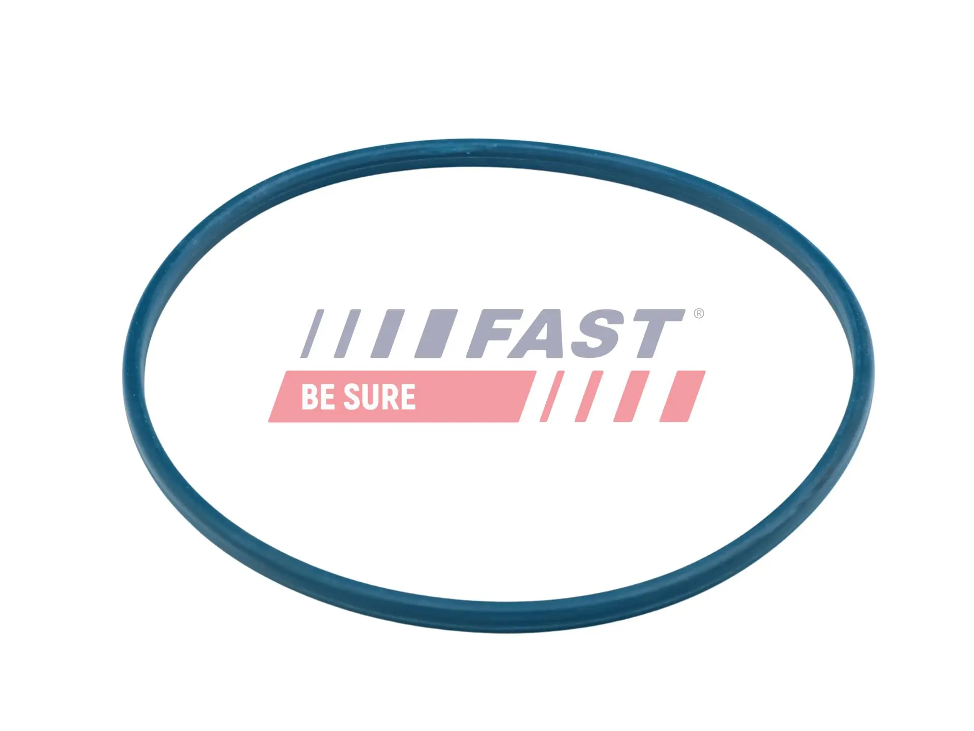 Seal, fuel filler neck FT48504