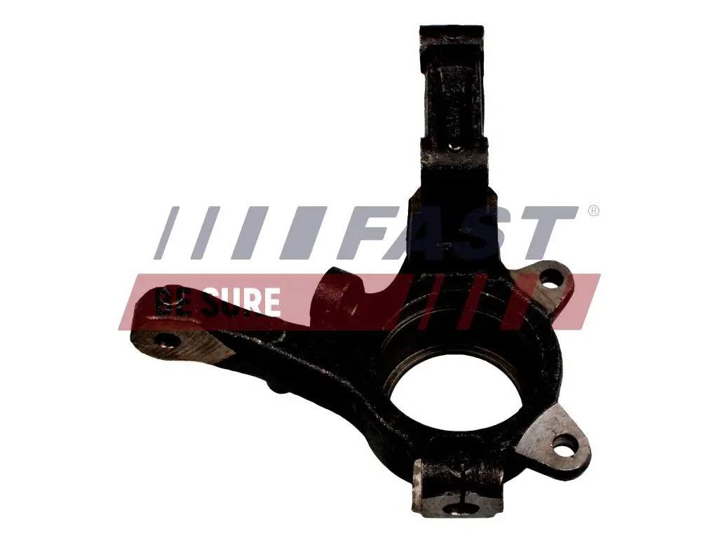 Steering Knuckle, wheel suspension FT13510