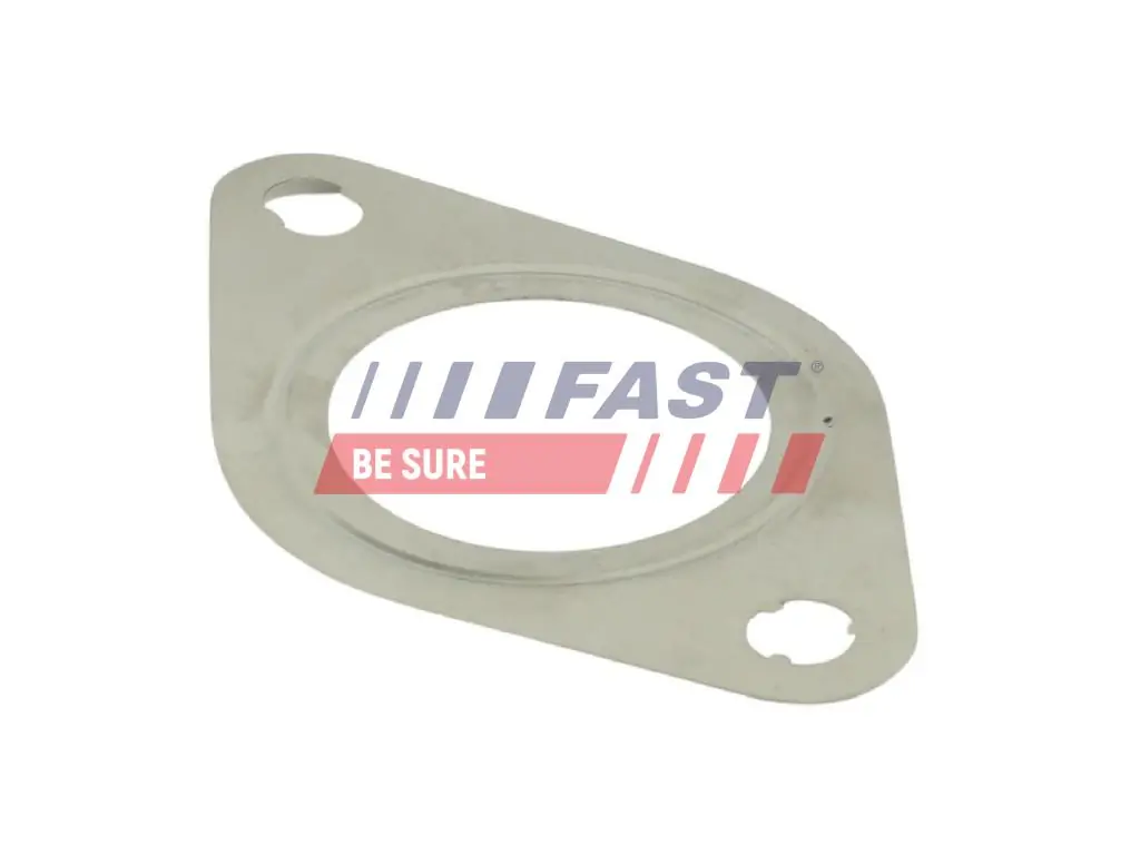 Gasket, exhaust pipe FT84811