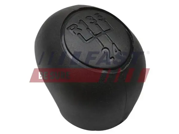 Gear Shift Lever Knob FT73201