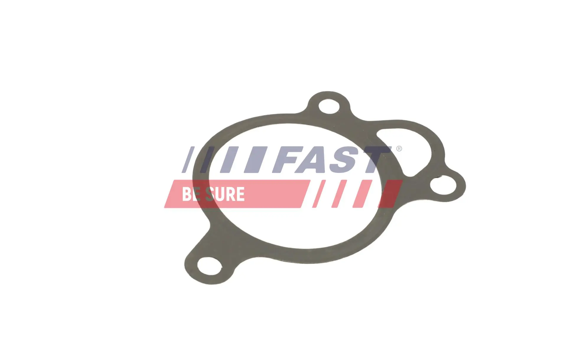 Gasket, EGR valve FT50619