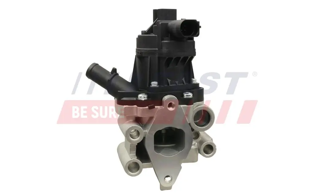 EGR Valve FT60202