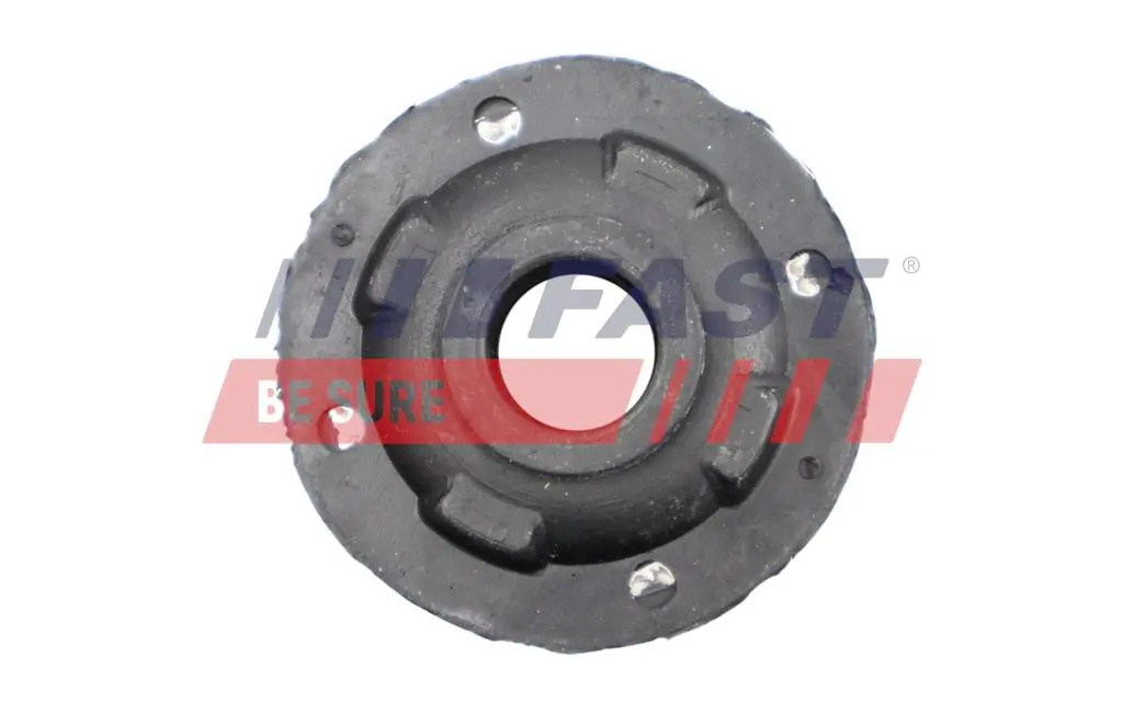 Mounting, radiator FT55808