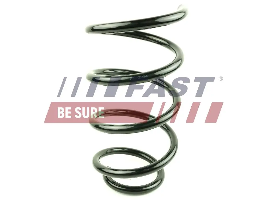 Suspension Spring FT12284