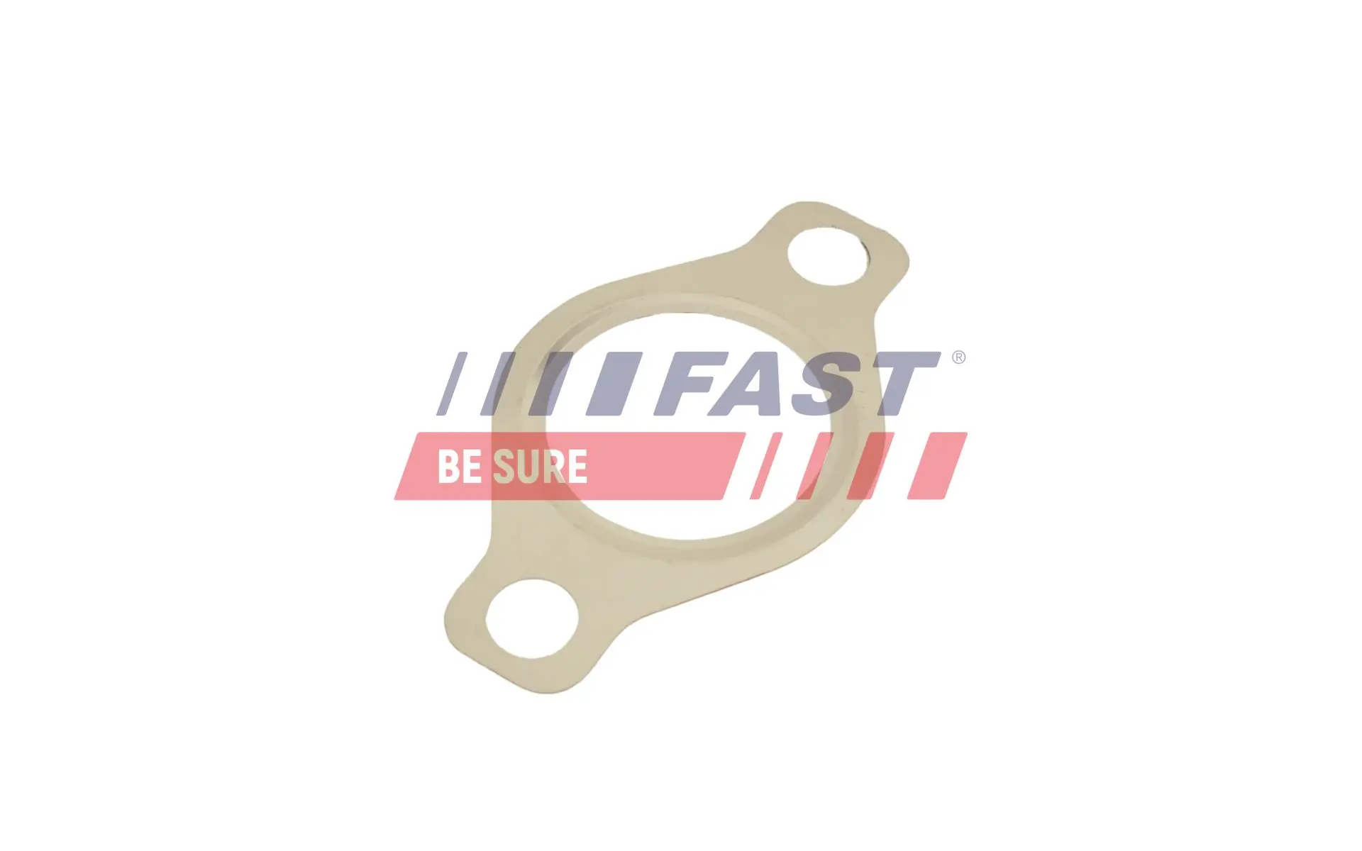 Gasket, EGR valve FT50618