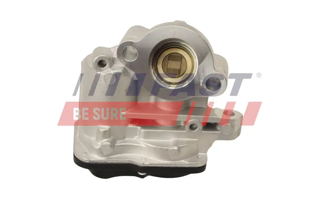 EGR Valve FT60244