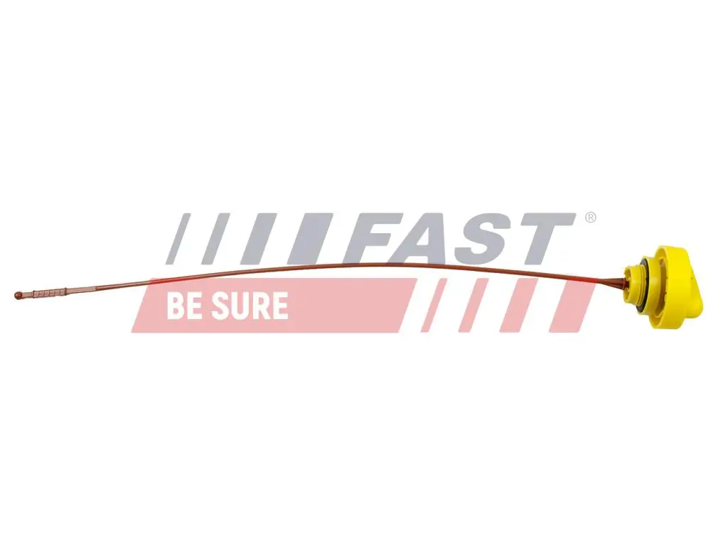 Oil Dipstick FT80309