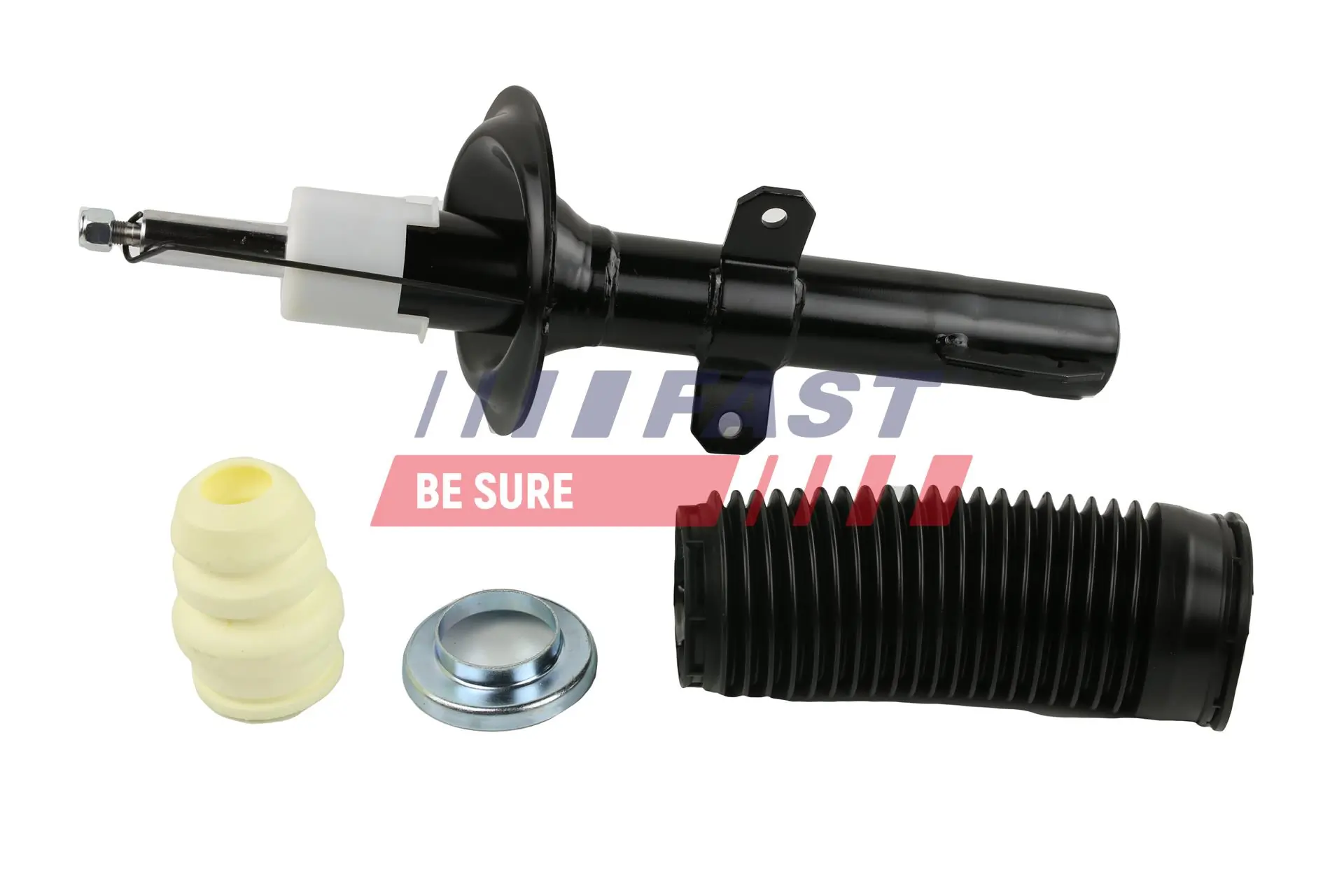 Shock Absorber FT11310