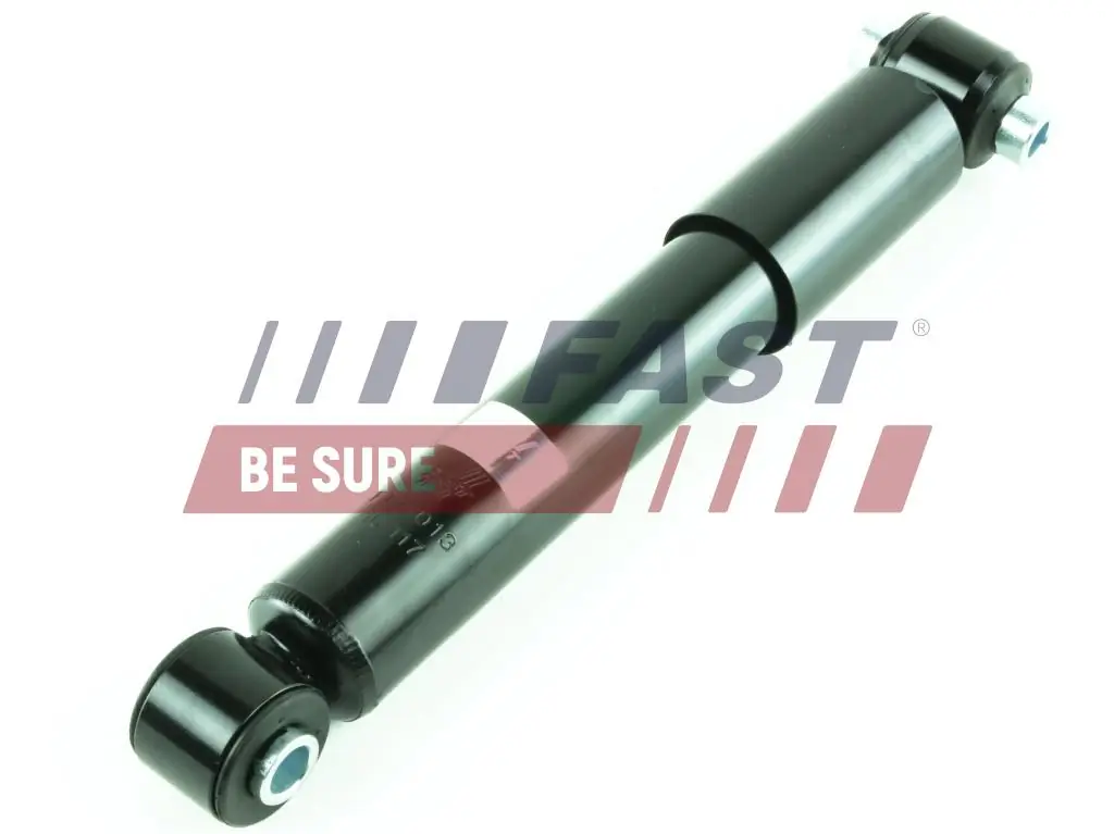 Shock Absorber FT11013