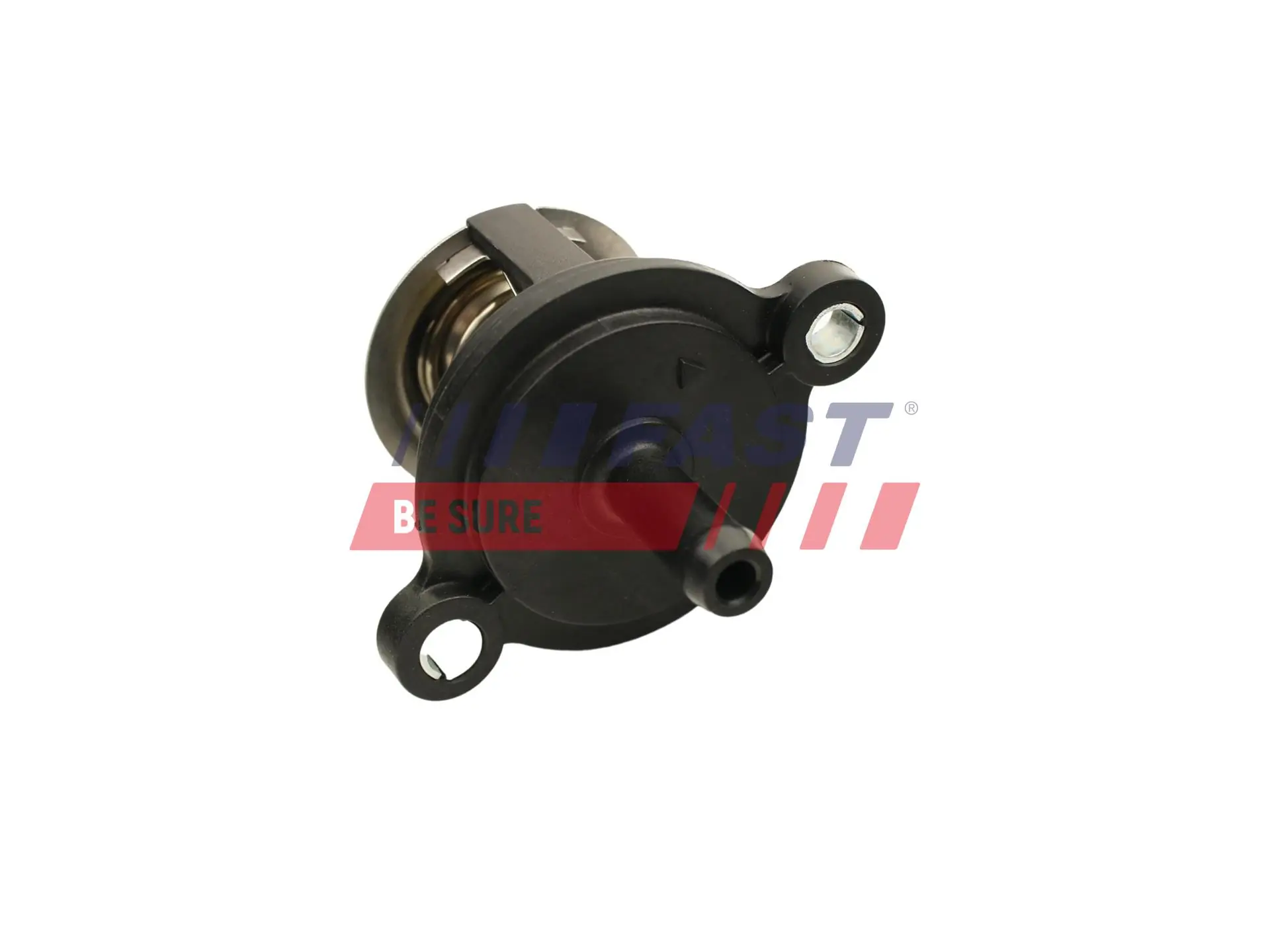 Thermostat, coolant FT58051