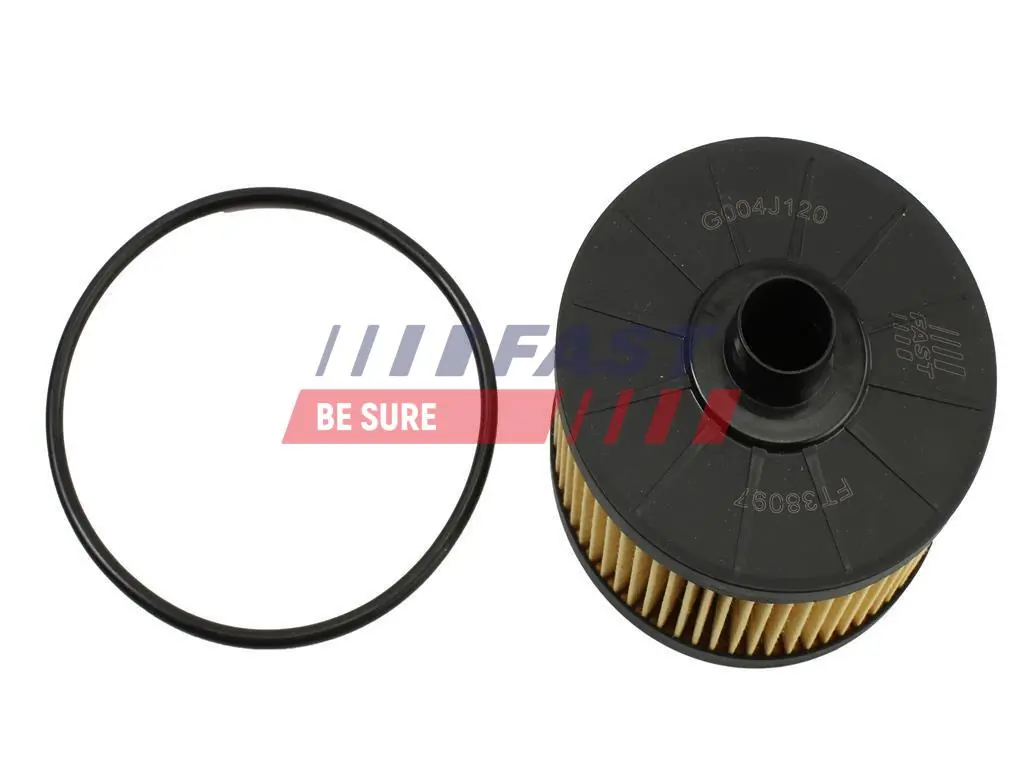 Oil Filter FT38101
