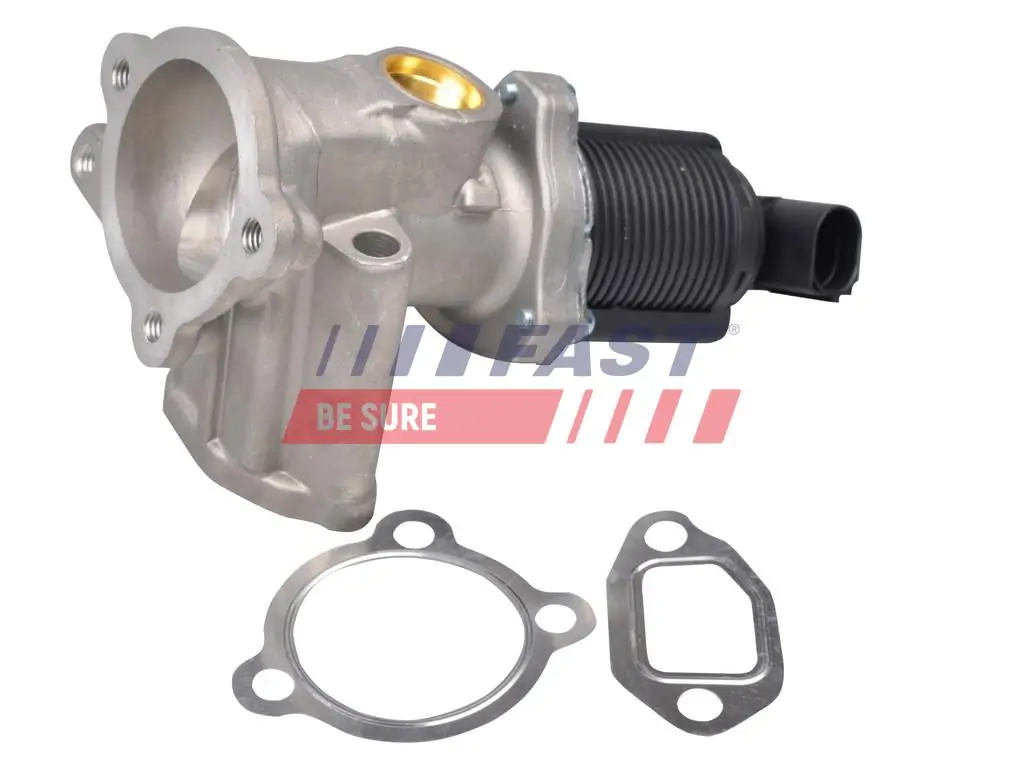 EGR Valve FT60236