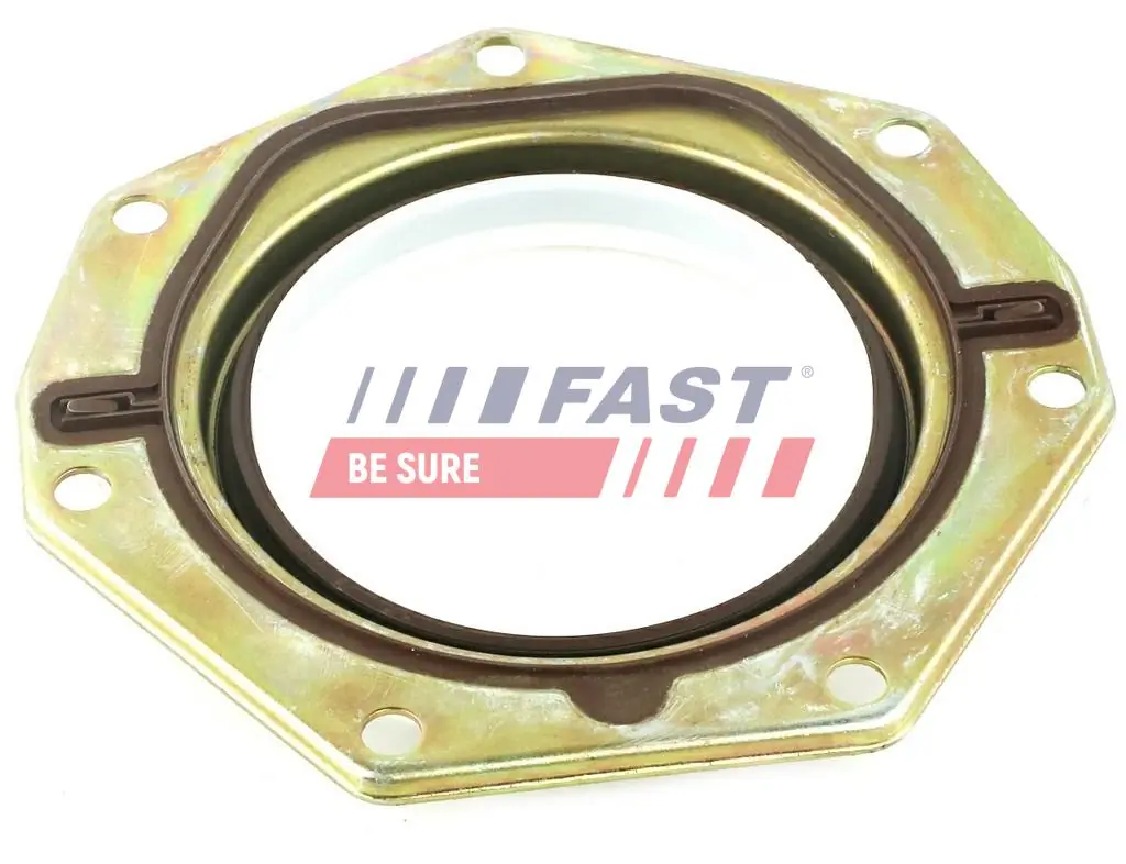 Shaft Seal, crankshaft FT49713