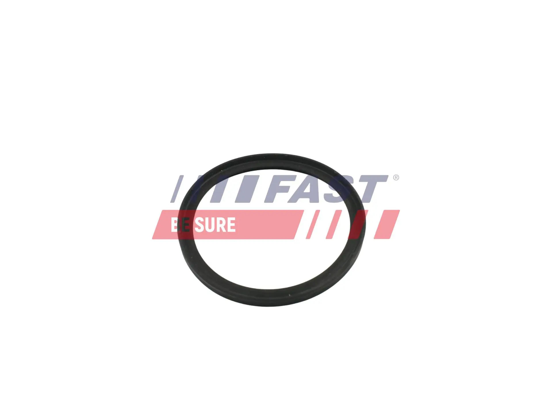 Gasket, vacuum pump FT49853