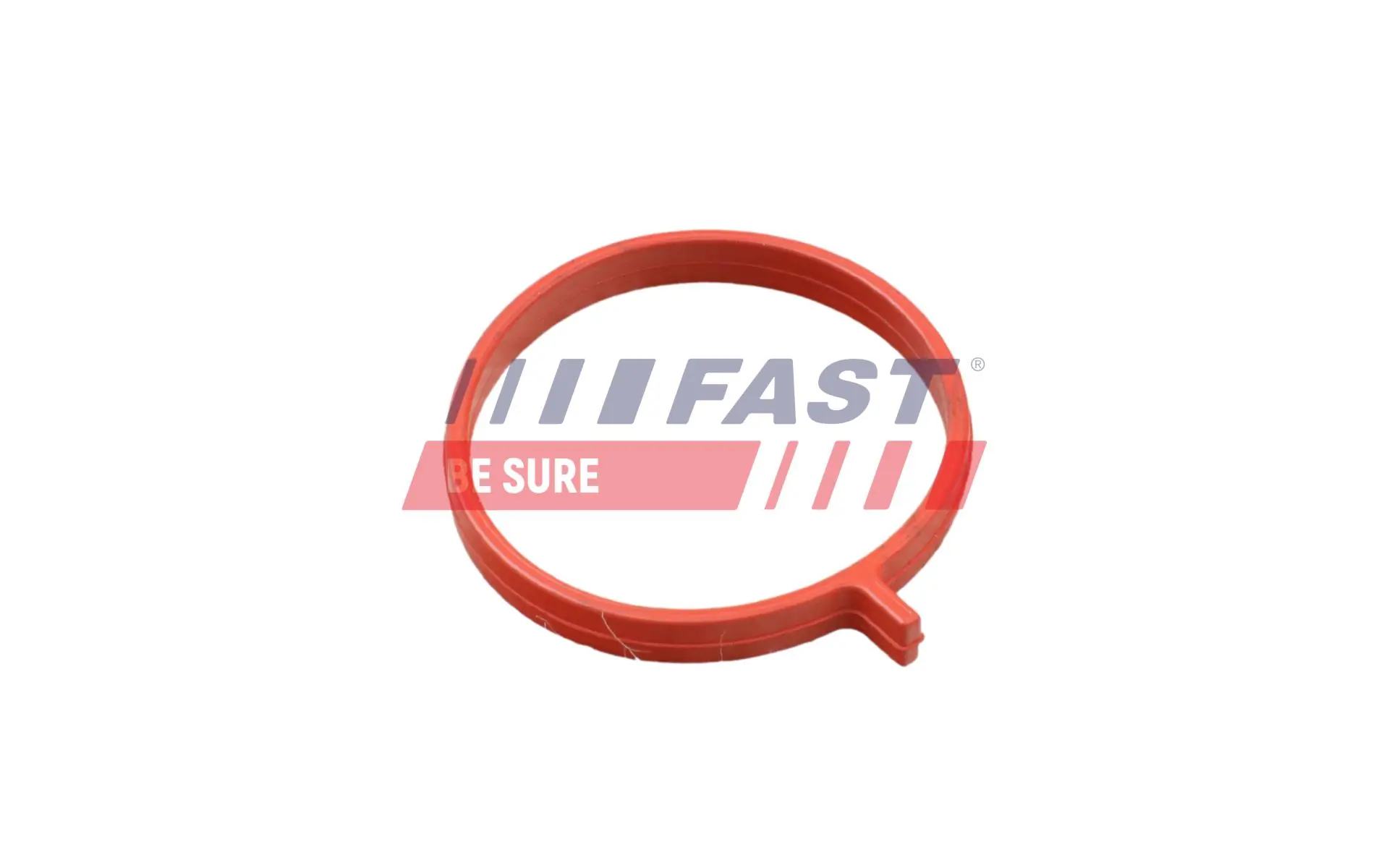 Seal Ring, charge air hose FT48962