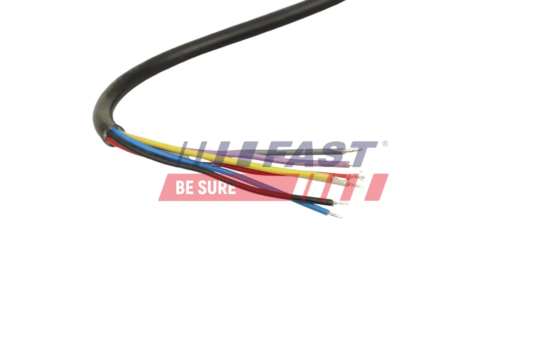 Tail Light Assembly FT86220