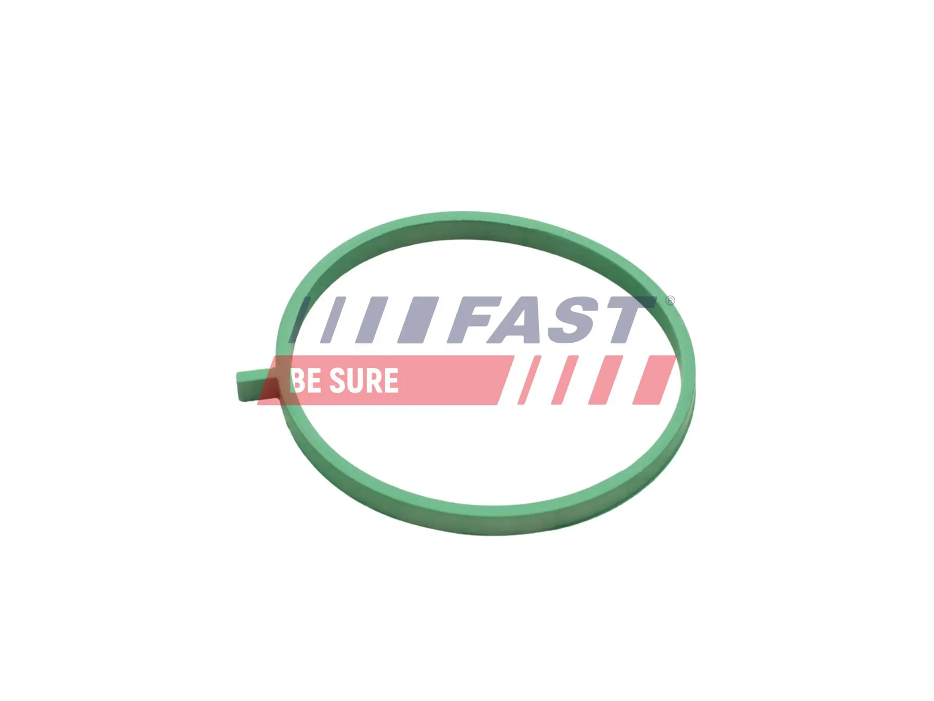 Shaft Seal, crankshaft FT49711