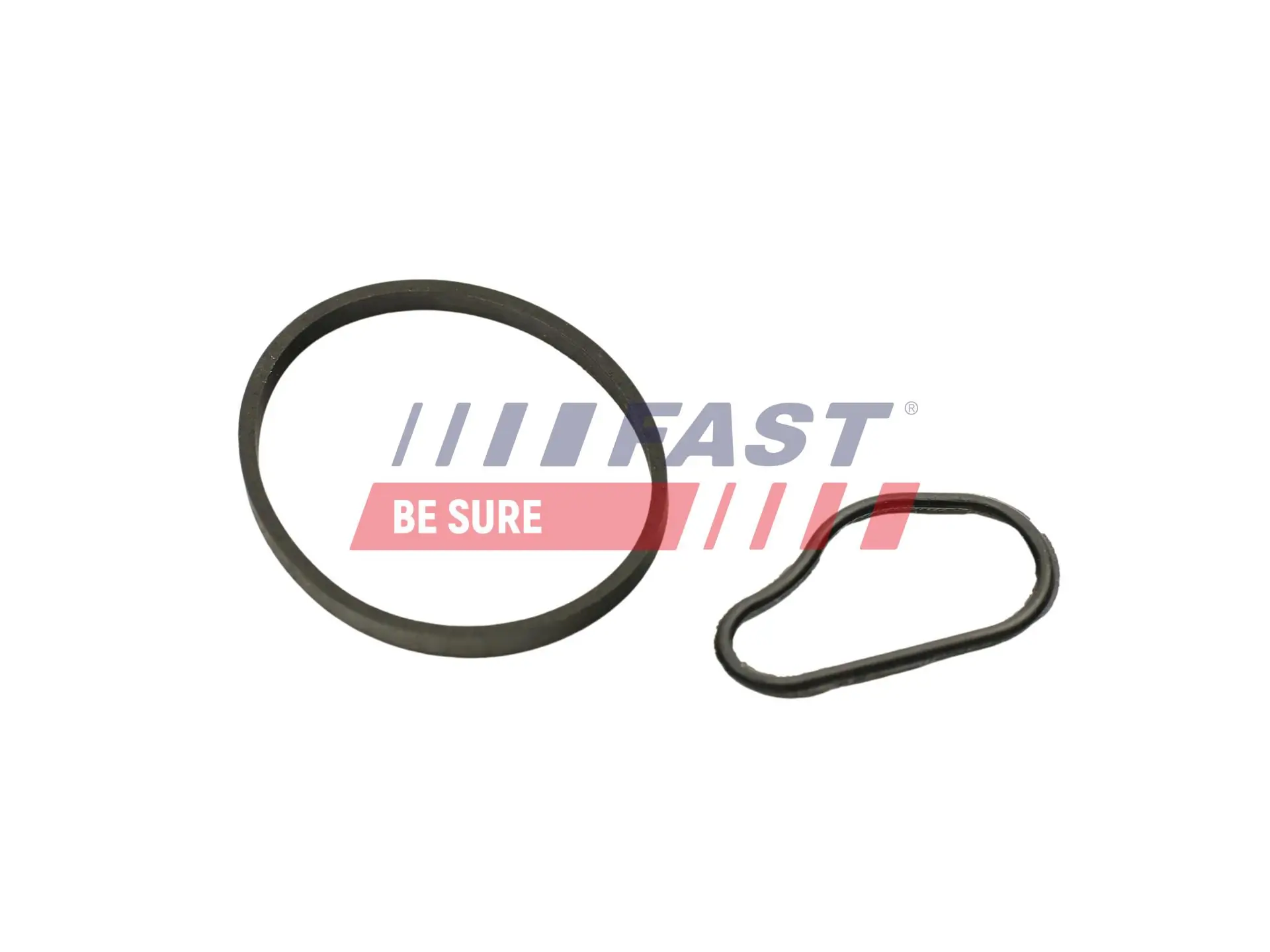 Gasket, vacuum pump FT48943