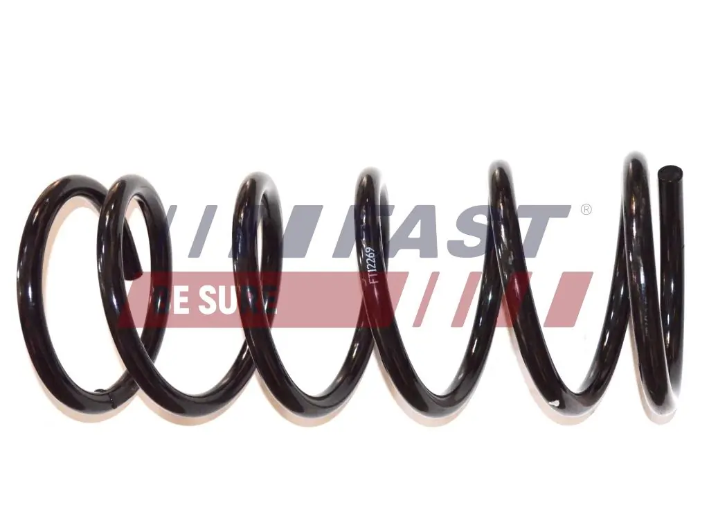 Suspension Spring FT12269