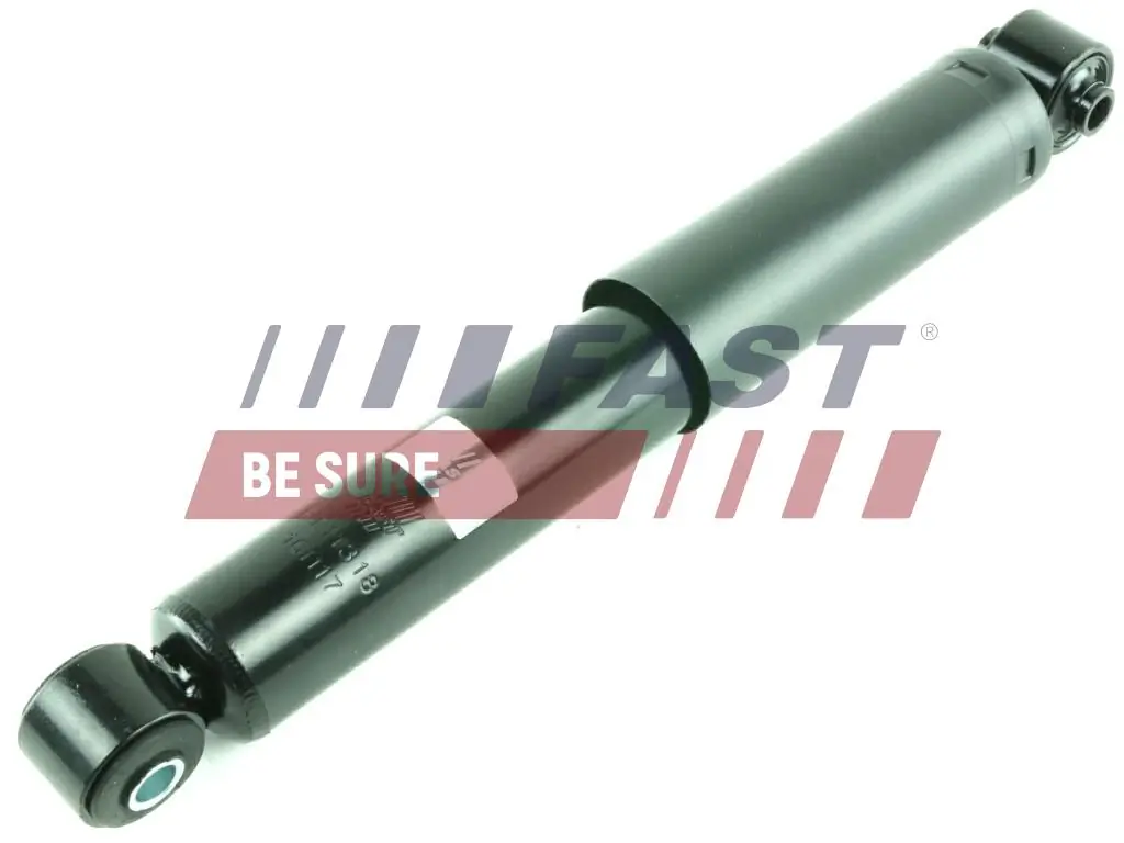 Shock Absorber FT11318