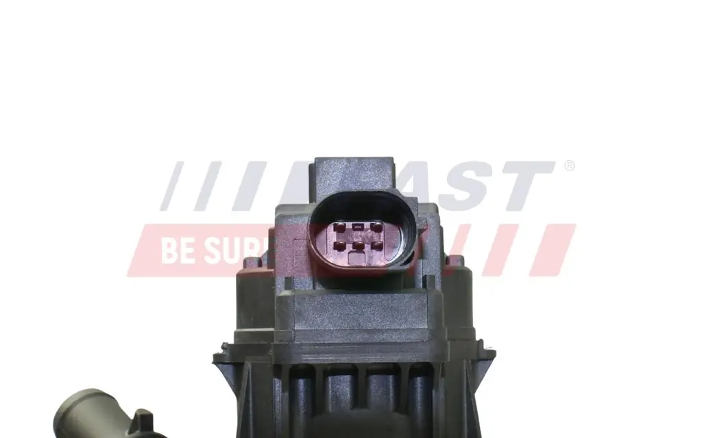 EGR Valve FT60202