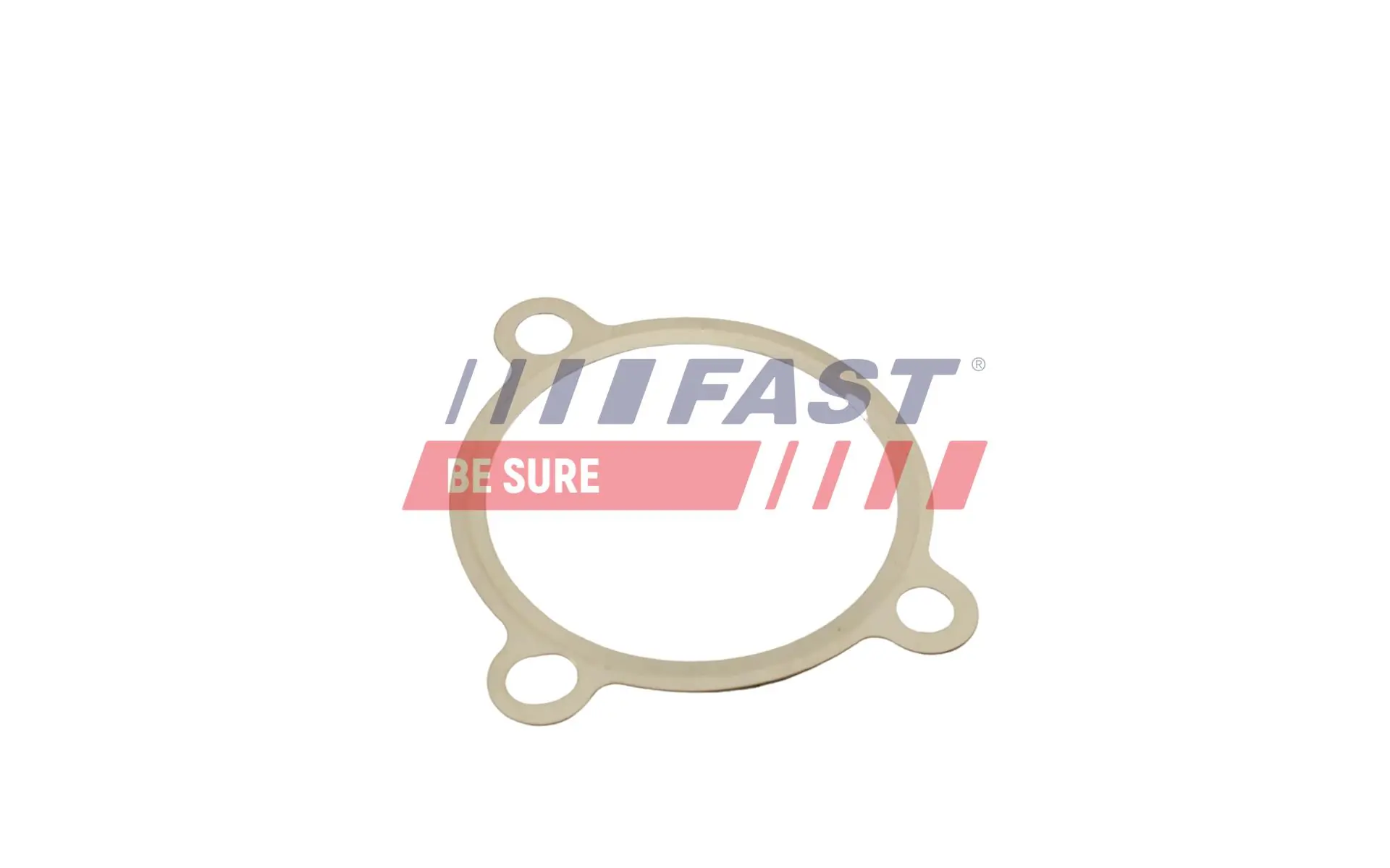 Gasket, EGR valve FT50605