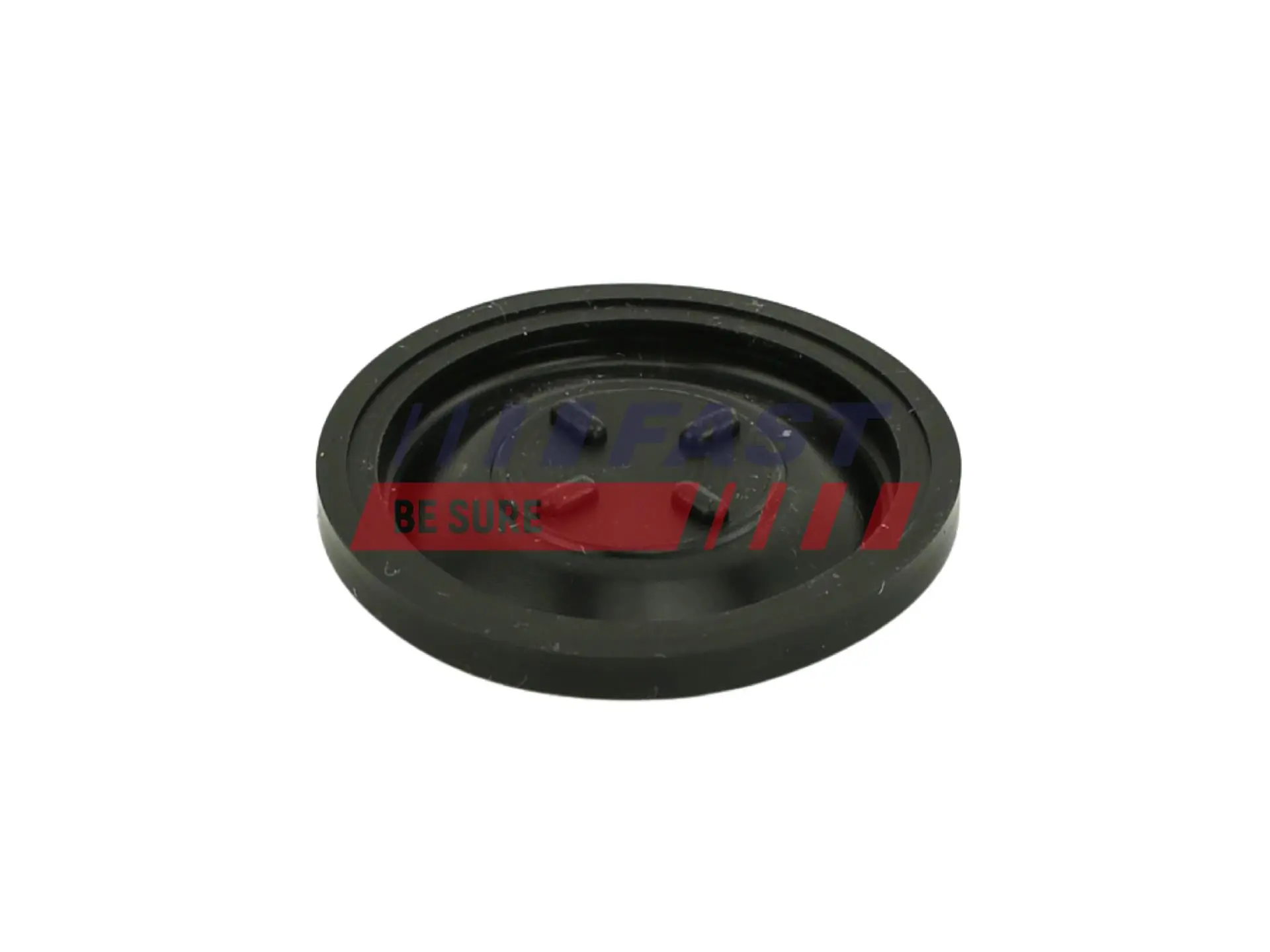 Membrane, crankcase ventilation FT60101