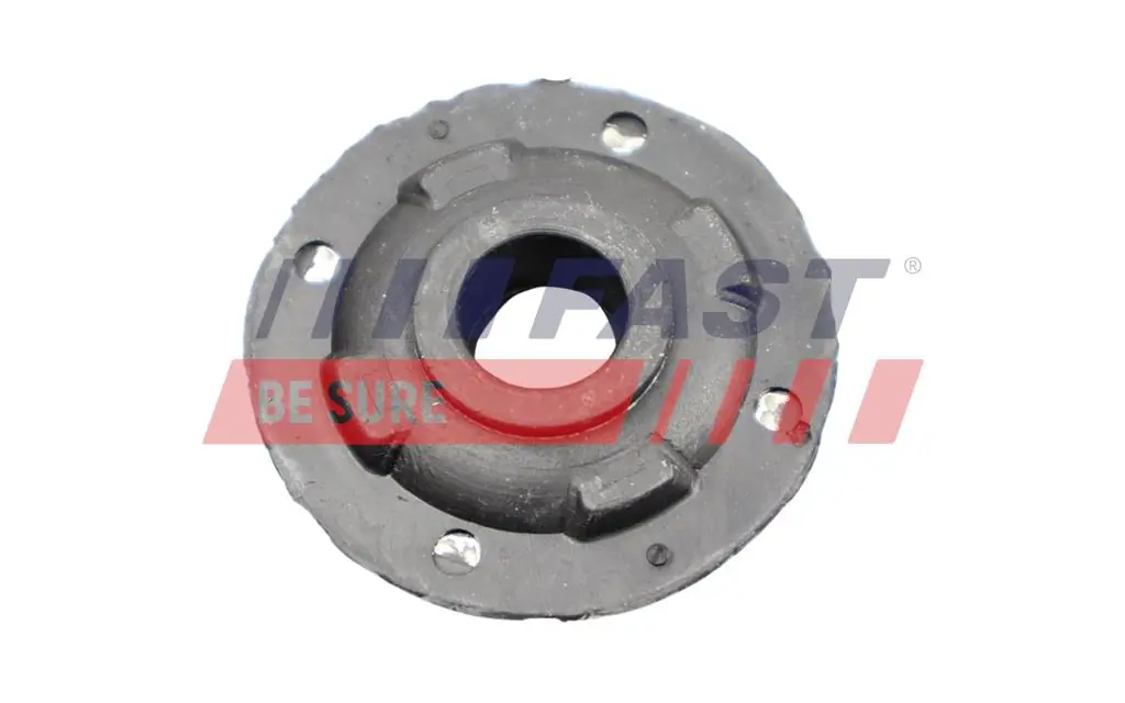 Mounting, radiator FT55808