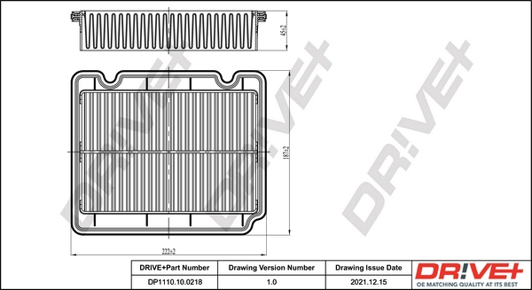 Air Filter DP1110.10.0218