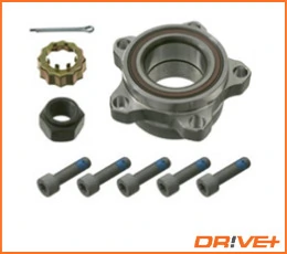 Wheel Bearing Kit DP2010.10.0139