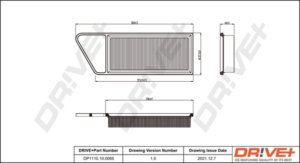 Air Filter DP1110.10.0065