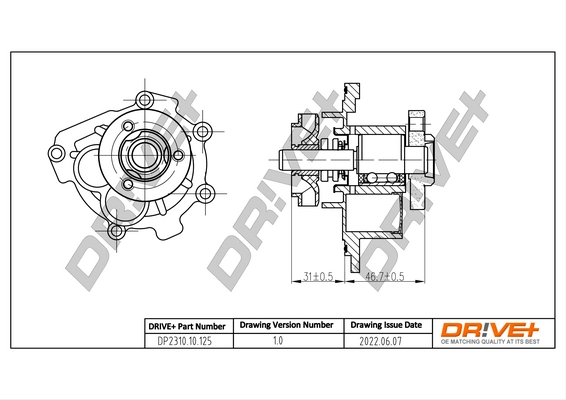 Water Pump, engine cooling DP2310.10.125