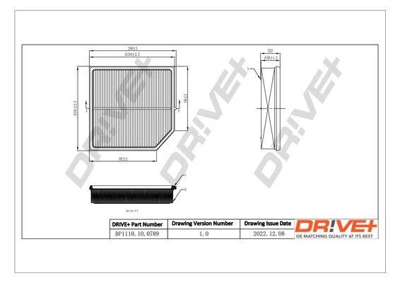 Air Filter DP1110.10.0789