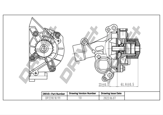Water Pump, engine cooling DP2310.10.111