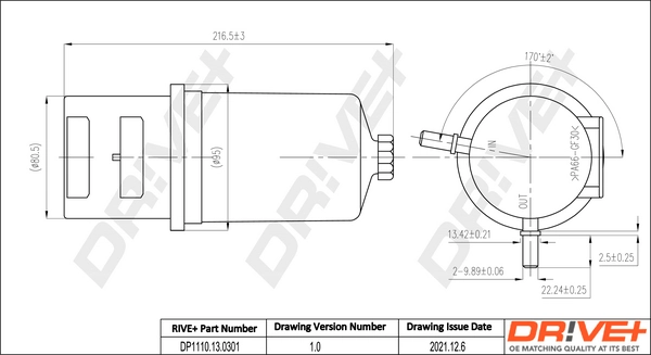 Fuel Filter DP1110.13.0301