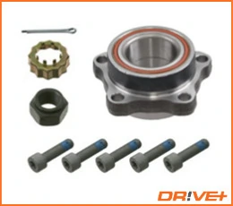 Wheel Bearing Kit DP2010.10.0119