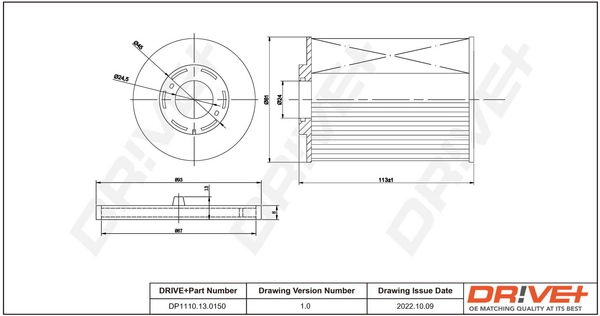Fuel Filter DP1110.13.0150