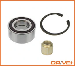 Wheel Bearing Kit DP2010.10.0193
