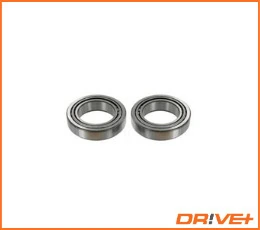Wheel Bearing Kit DP2010.10.0620