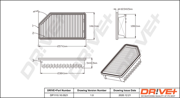 Air Filter DP1110.10.0521