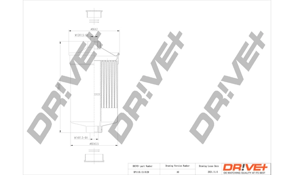 Fuel Filter DP1110.13.0129
