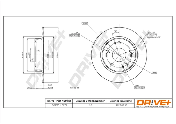 Brake Disc DP1010.11.0273