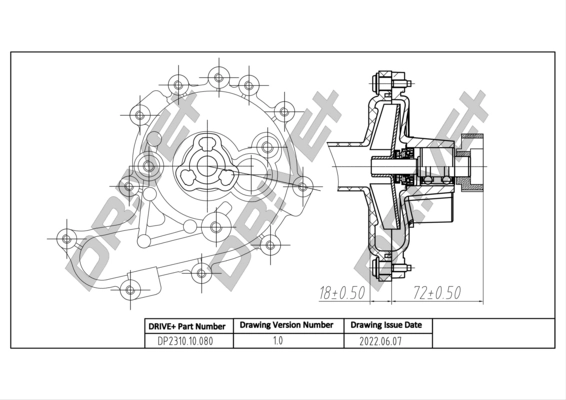 Water Pump, engine cooling DP2310.10.080