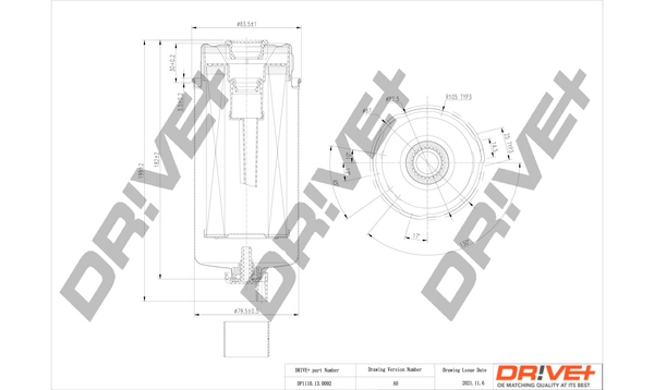Fuel Filter DP1110.13.0092