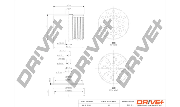 Fuel Filter DP1110.13.0107